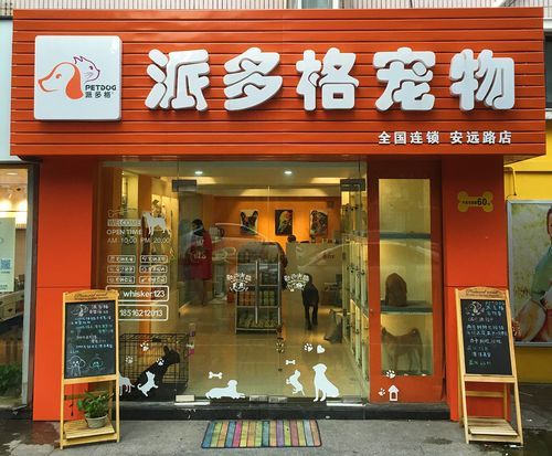派多格宠物美容(派多格怎么样)
