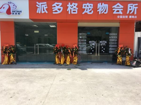 派多格宠物美容学校(派多格宠物美容学校能帮你实现吗)