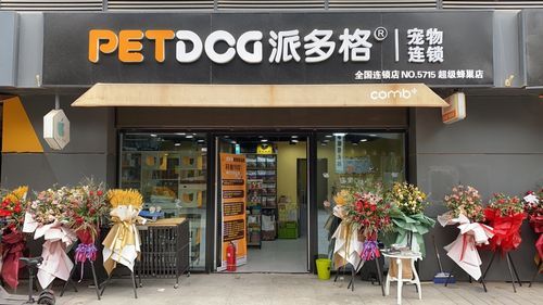 派多格宠物美容店(派多格宠物店加盟靠谱吗)