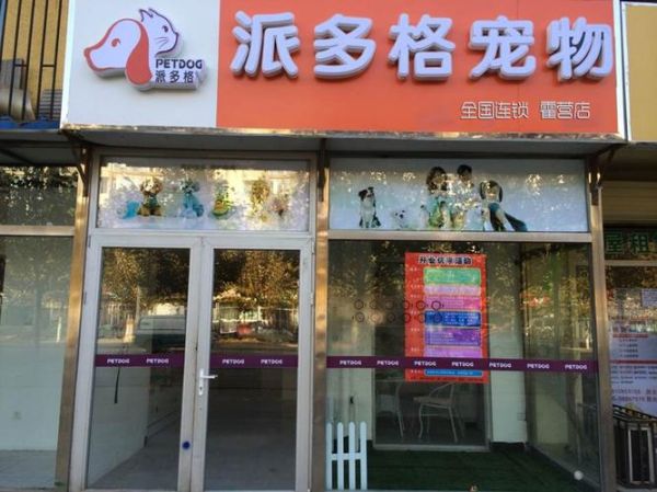 派多格宠物美容店(派多格宠物店加盟靠谱吗)