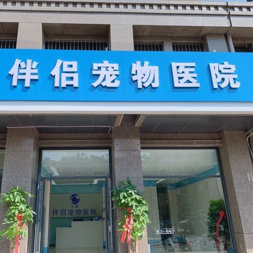 济南宠物医院(哪家医院的服务最贴心)