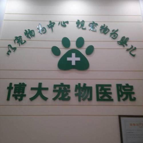济南宠物论坛( 能找到靠谱的宠物医院吗)