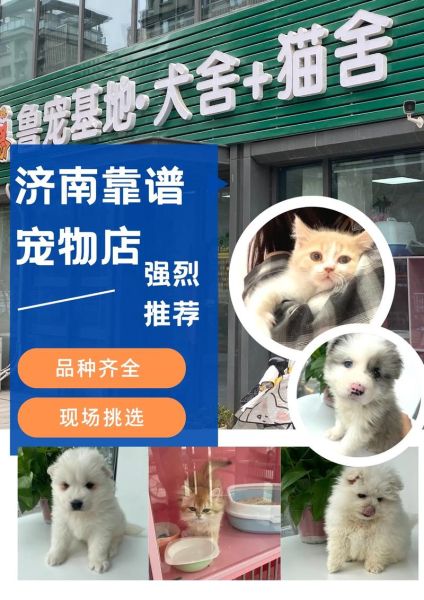 济南宠物论坛( 能找到靠谱的宠物医院吗)