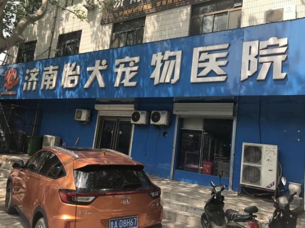 济南皇家宠物医院(济南皇家宠物医院怎么样)