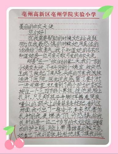 海正动保(守护生命的光芒)