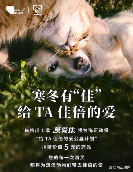 海正动保(守护生命的光芒)