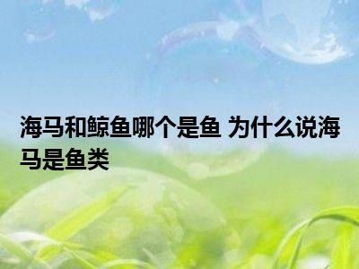 海马和鲸鱼哪个是真正的鱼(它们到底谁才是真的鱼)