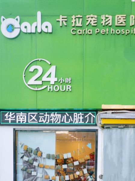 深圳 宠物医院(哪家服务最好)