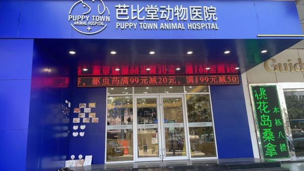深圳宠物医院(哪家医院的服务更周到)