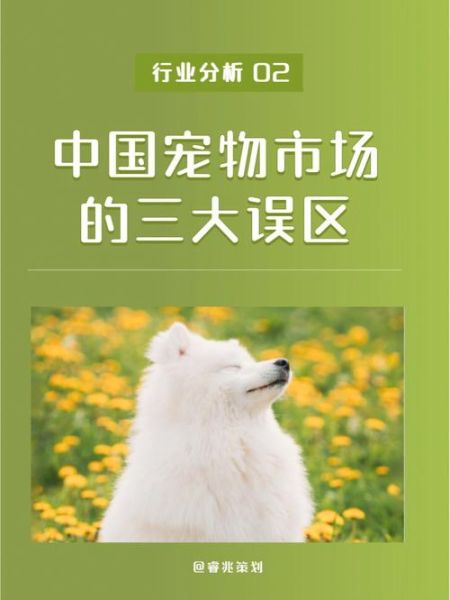 深圳宠物市场(宠物市场该怎么选)