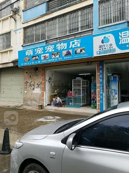 深圳宠物店(福安家宠物店品种多吗)