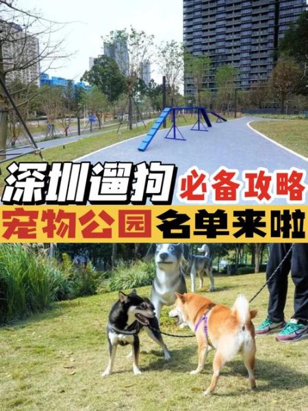 深圳宠物网站(哪个网站信息最全)