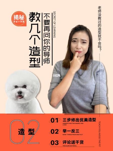 深圳宠物美容培训(有没有免费课程)