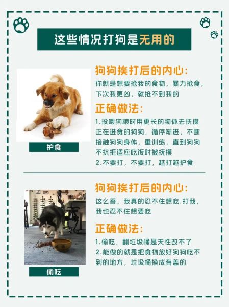 清道夫怎么养( 到底该怎么养才好)