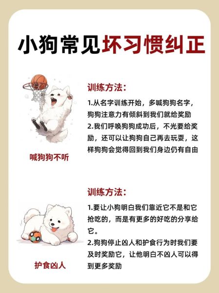 清道夫怎么养( 到底该怎么养才好)