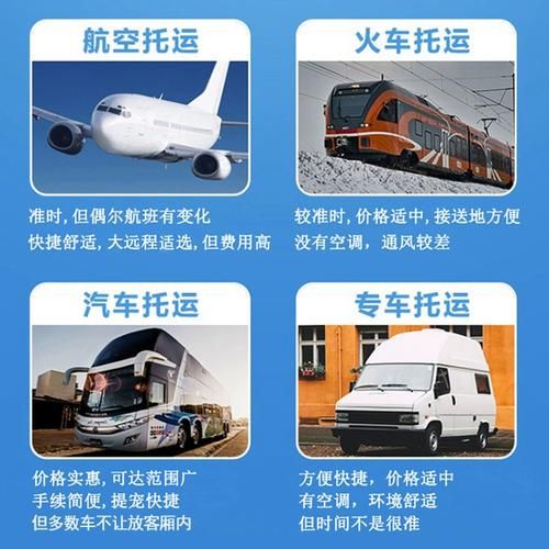 火车托运宠物(流程和注意事项有哪些)