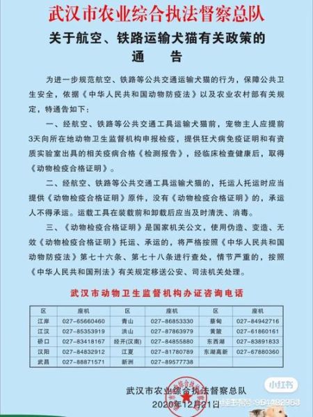 火车托运宠物(流程和注意事项有哪些)