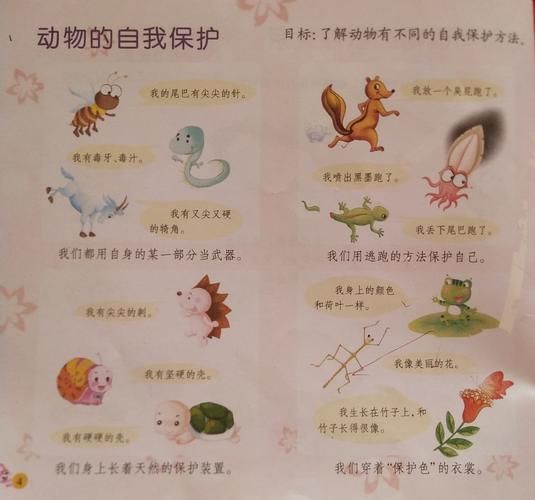 灭绝动物(我们能做些什么来保护其他动物)