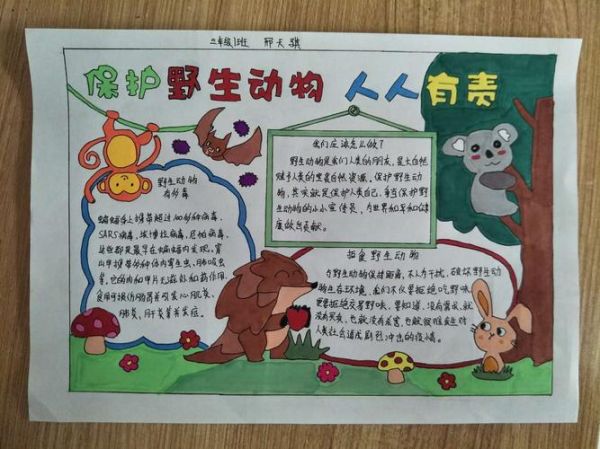 灭绝动物(我们能做些什么来保护其他动物)