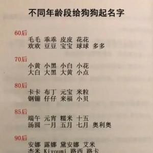 炫舞宠物名字大全(有哪些好听的)