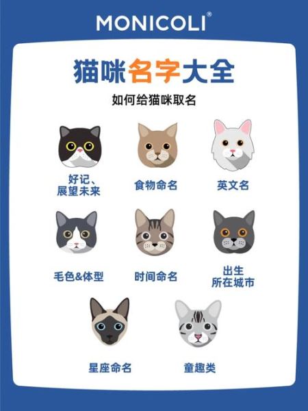 炫舞宠物情侣名(有哪些简洁好记的宠物情侣名)
