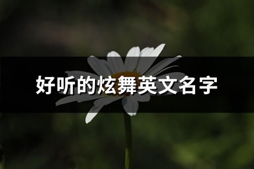 炫舞宠物英文名字(哪些英文名字更适合)