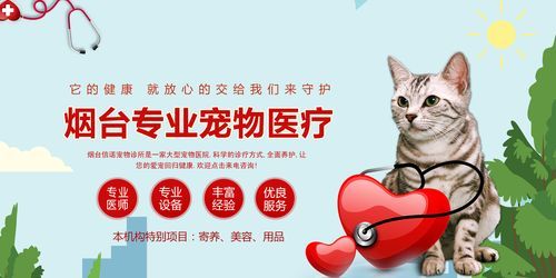 烟台宠物医疗(烟台宠物医疗服务了解一下)