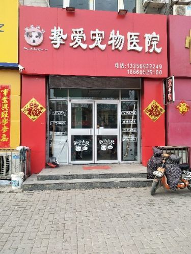 烟台宠物医院(哪家服务更贴心)