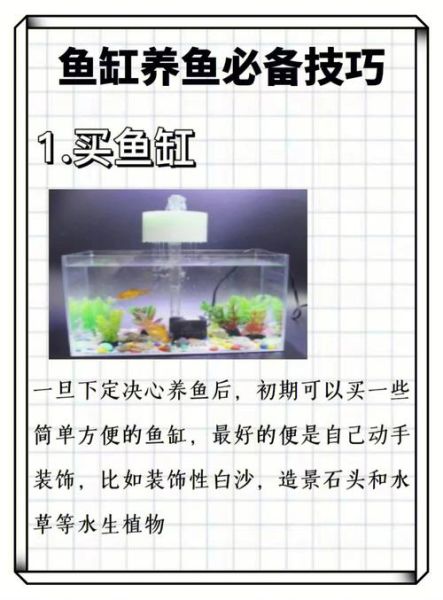 热带鱼饲养(需要哪些技巧)