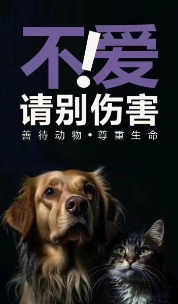 爱动物(就应该保护它们吗)