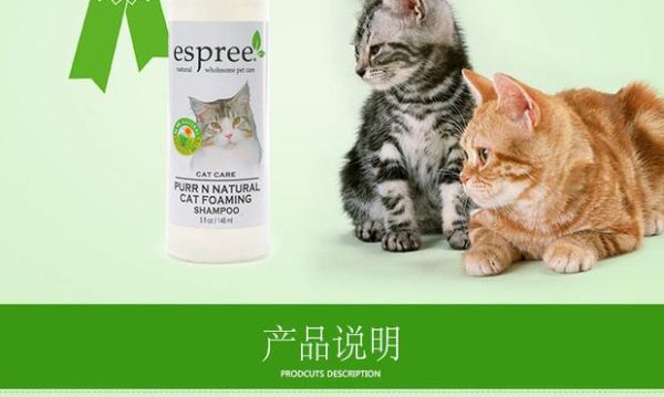 爱诗碧(怎么查到它到底值不值钱)