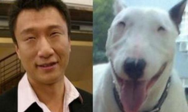牛头梗 孙红雷(到底谁更像谁)