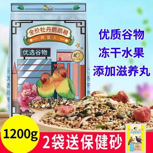 牡丹鹦鹉吃什么(除了谷物还有什么可以补充营养)