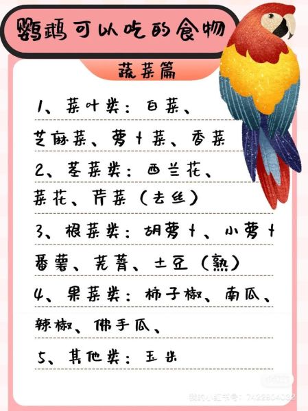 牡丹鹦鹉吃什么(除了谷物还有什么可以补充营养)
