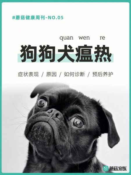 犬瘟(我家狗狗该怎么预防呢)