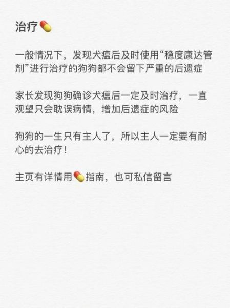 犬瘟后期(怎样才能让狗狗好起来)