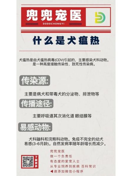 犬瘟热(会传染给人类吗)