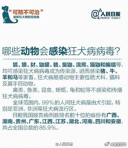 犬瘟热传染人吗(它只在狗狗之间传播)