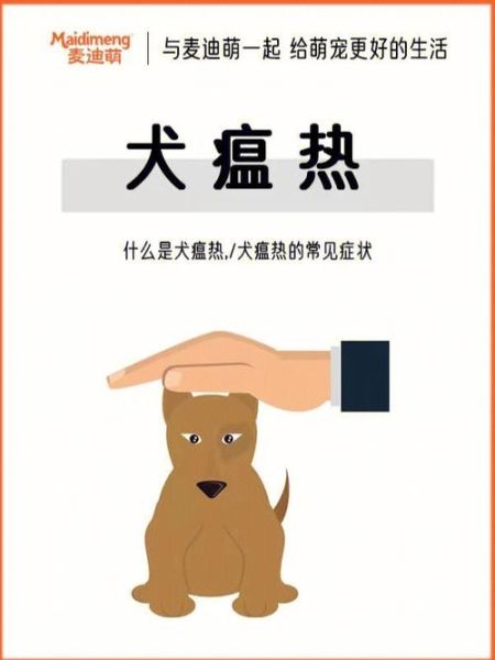 犬瘟热后期(怎么才能帮助狗狗恢复)