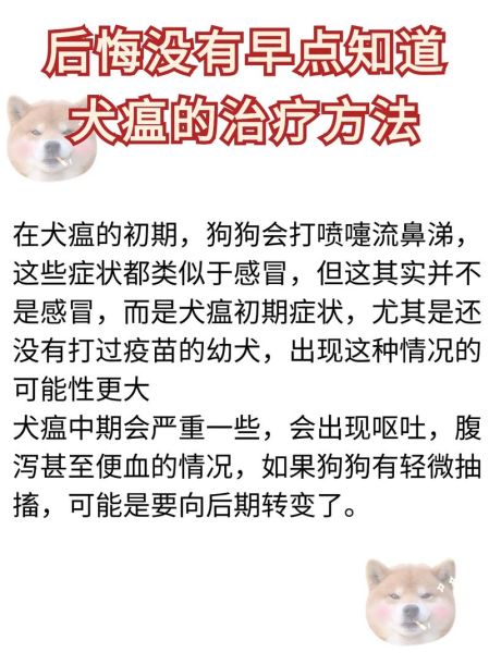 犬瘟热怎么治( 怎样才能帮助它康复)