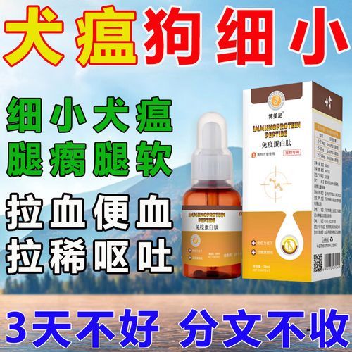 犬瘟热用什么药(哪些药是必须的)