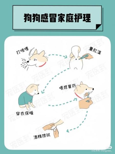 犬瘟热的治疗( 护理很重要吗)