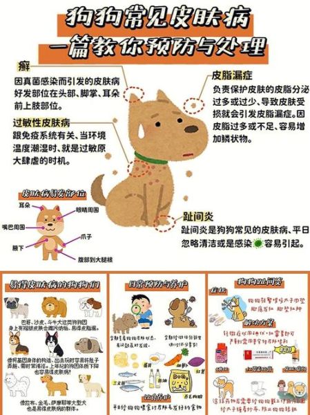 犬皮肤病(日常生活中要注意哪些)