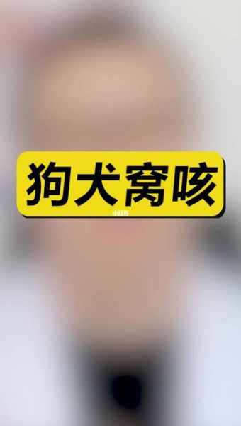 犬窝咳(难道是得了犬窝咳)