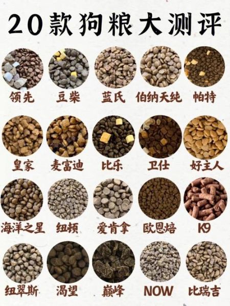 犬粮(哪种更值得买)