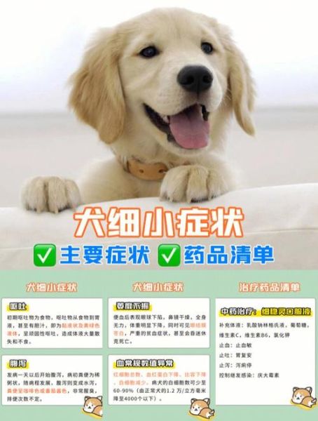 犬细小(治疗费用贵吗)