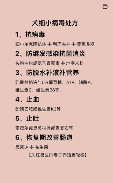 犬细小病毒(怎么才能预防狗狗感染细小)