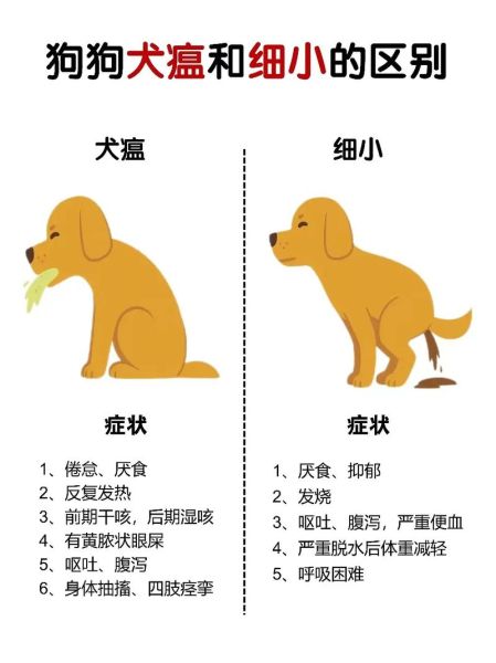 犬细小病毒病(还是其他疾病)