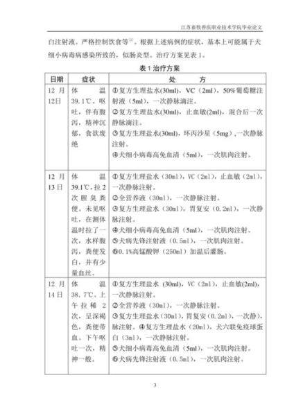 犬细小病毒的治疗( 哪些症状最需要警惕)