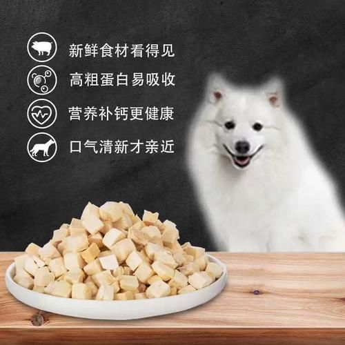 狐狸狗吃什么( 哪些食物最适合它吃)